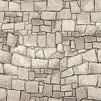 Дорожка "Витебск" рулон 1,0м (p1781_a2p_100) 1,0х32,8м