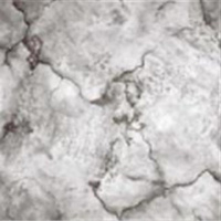 Дорожка "Витебск" рулон 1,4м (p2484_a2p_100) 1,4х24,8м