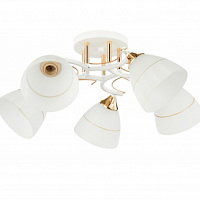 13215/5WT FGD WT_4 Е27 40W Светильник потолочный (2)