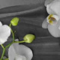 Кухонный фартук Light 0,8мм "ФФ347" 3000*600 [46]