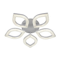 52009/5WT CL 48W ПДУ Светильник светодиодный (1)